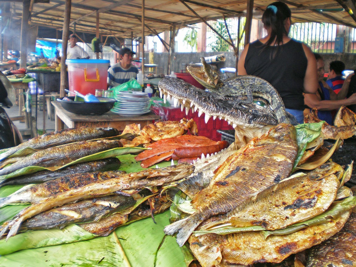 iquitos