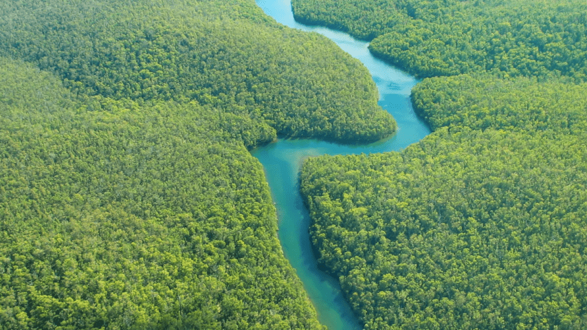 Río Napo