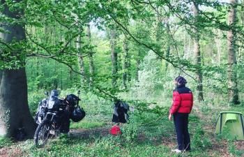 
  FRANCIA-BÉLGICA-HOLANDA: EL BOSQUE

