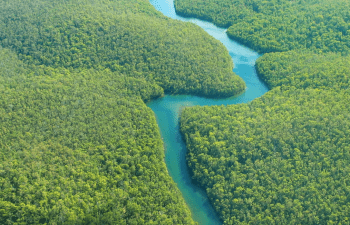 Río Napo