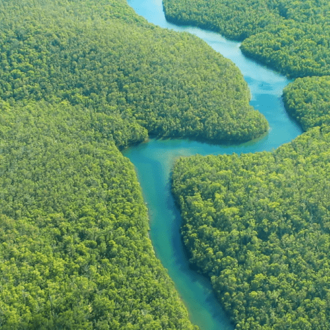 Río Napo